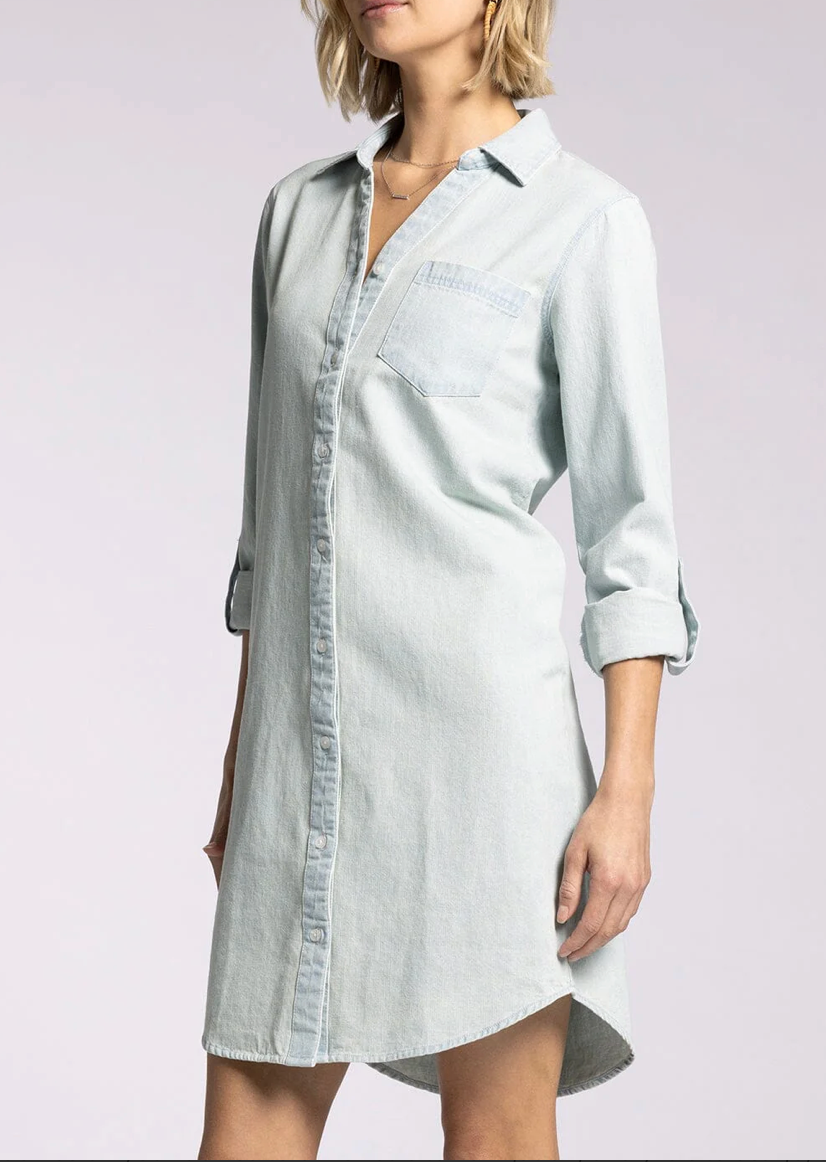 Fatina Denim Dress