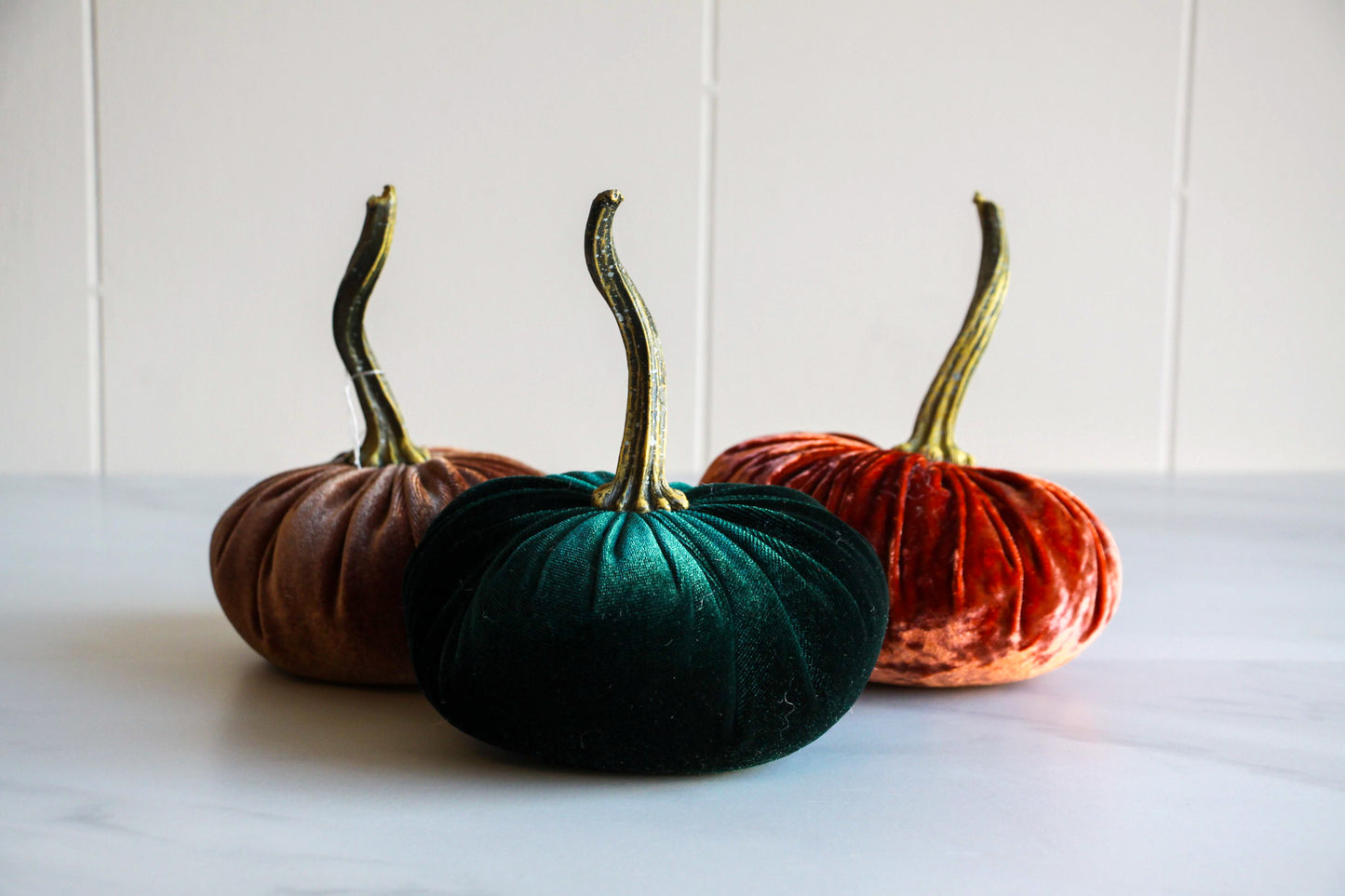 Velvet Pumpkin