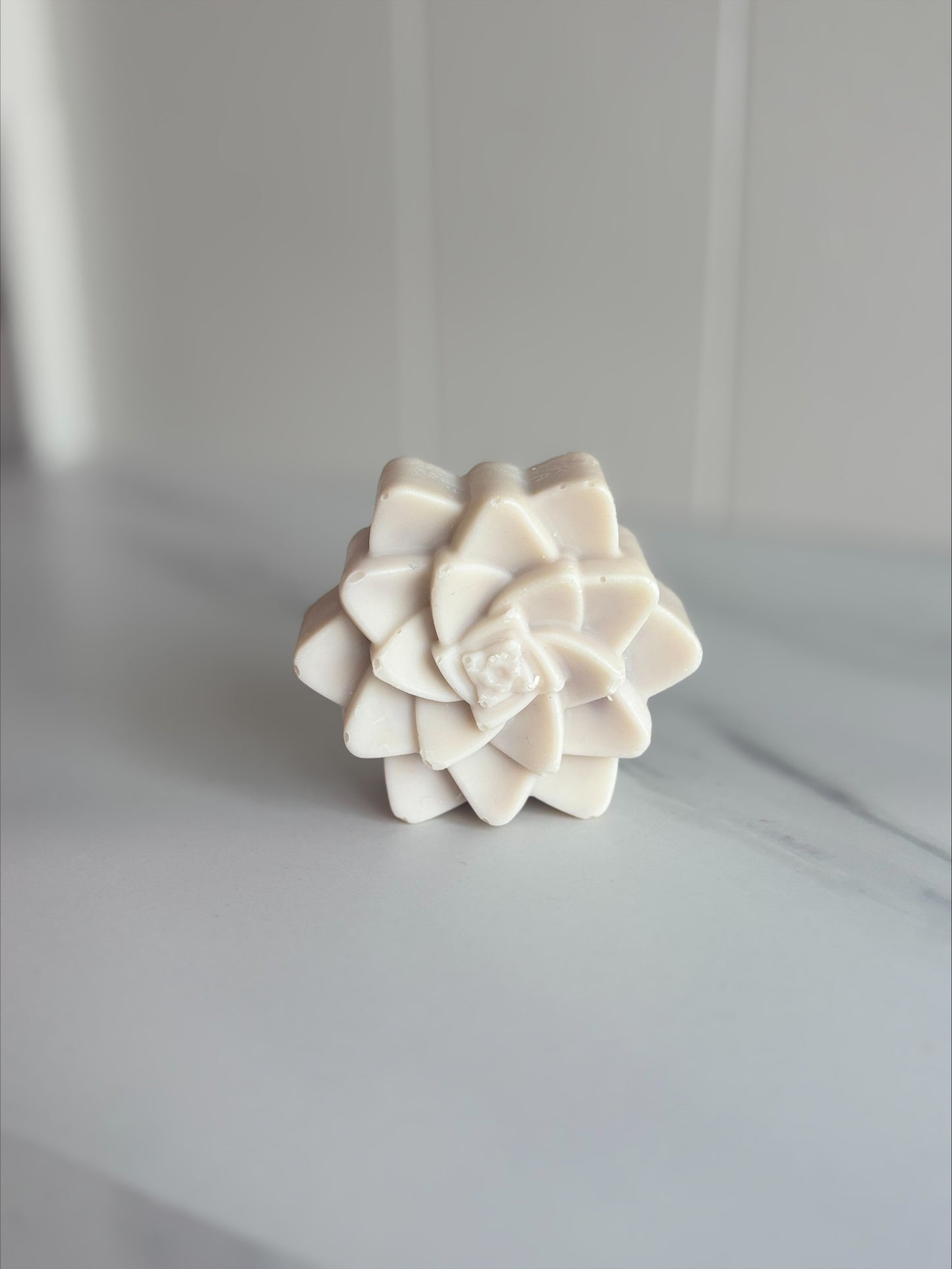 Auburn Woods Soap