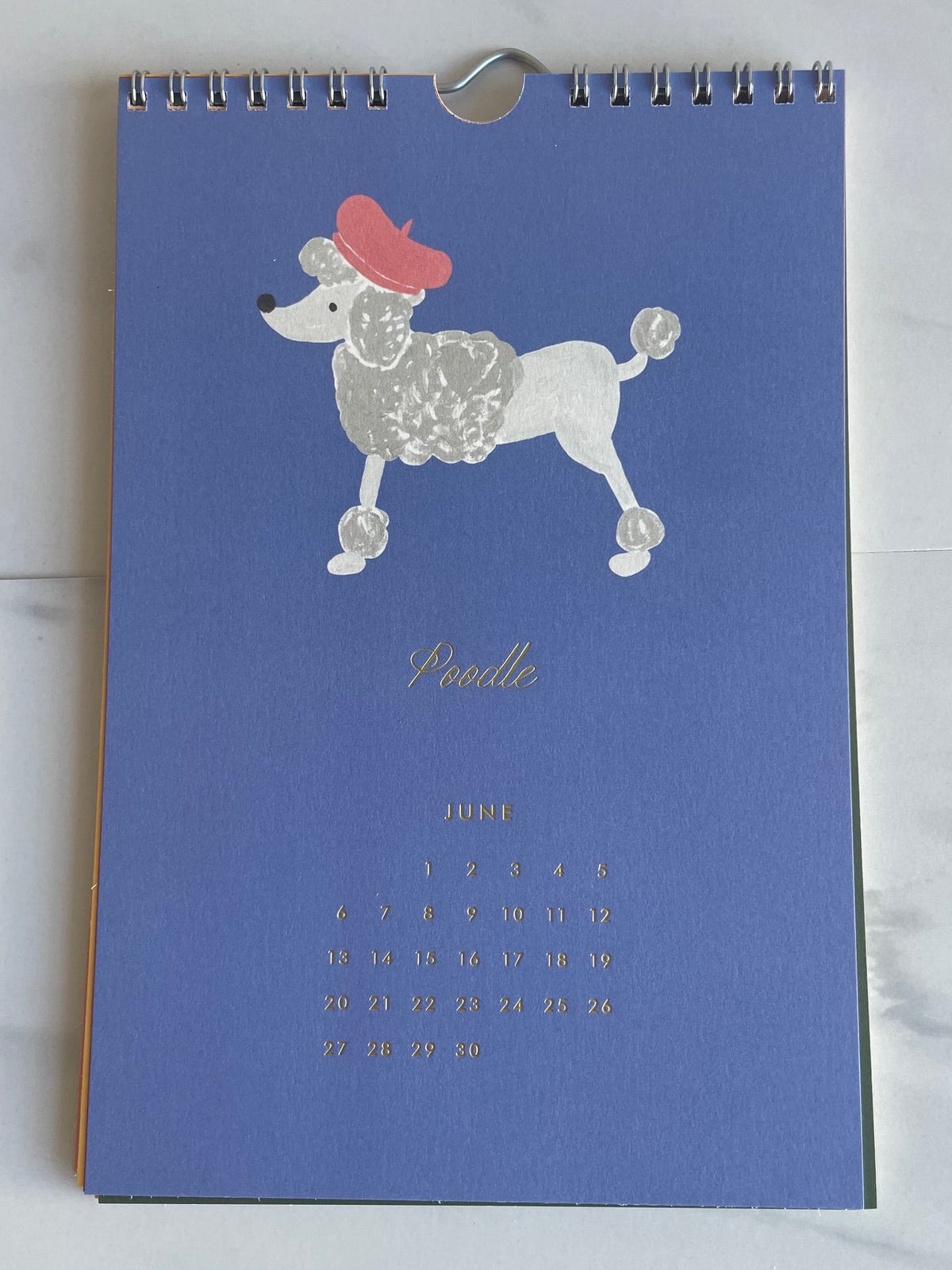 2027 Dog of the Month Wall Calendar