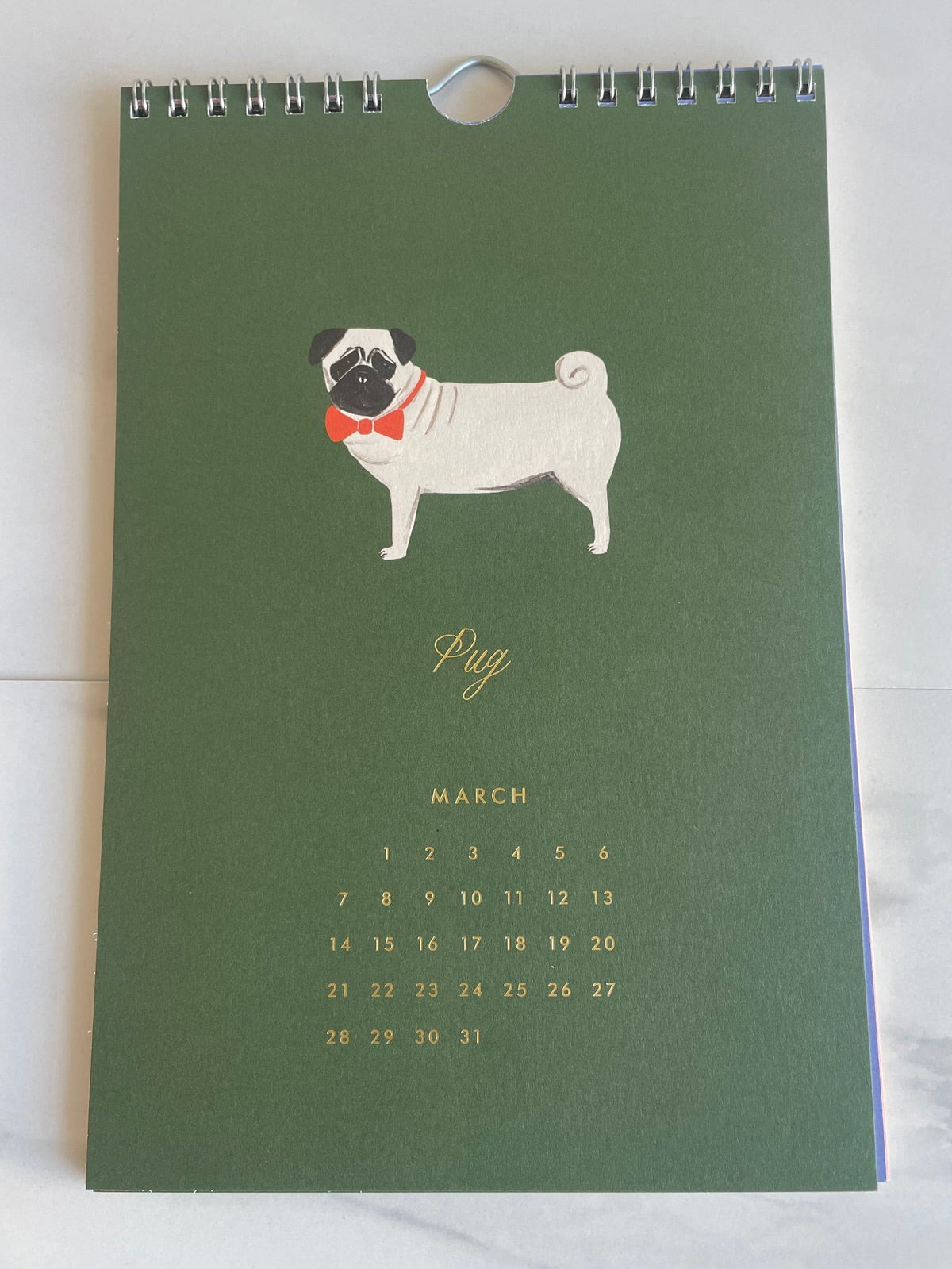 2027 Dog of the Month Wall Calendar